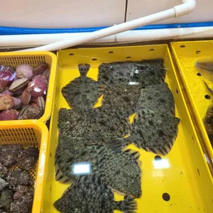 한아름수산 리뷰 사진