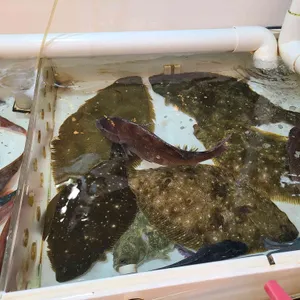 한아름수산 리뷰 사진