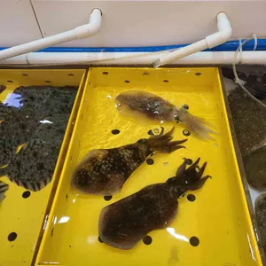 한아름수산 리뷰 사진