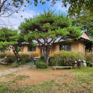 초월보리밥 리뷰 사진