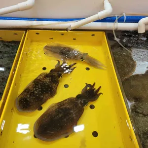한아름수산 리뷰 사진