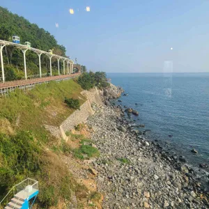 엣지993 리뷰 사진