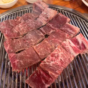 명지원 사진