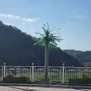 진주1987 사진