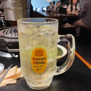 고도식 사진