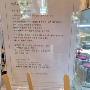 설레오 리뷰 사진