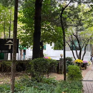 살구나무집칼국수 리뷰 사진