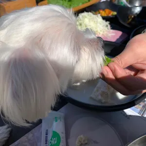 연꽃언덕 리뷰 사진
