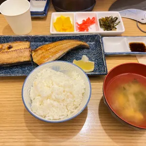 킨파 사진