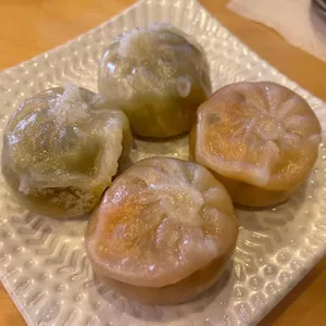 국수나무 사진