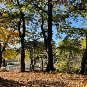 나인블럭 FARM 리뷰 사진