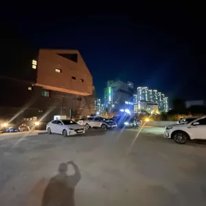 피노 리뷰 사진
