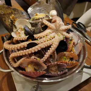 수족관 리뷰 사진