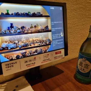 수족관 리뷰 사진