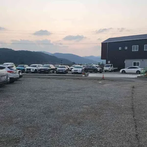 둘리왕새우 리뷰 사진