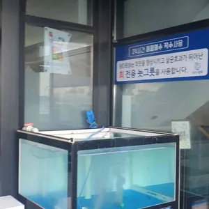 포항 바다원해 리뷰 사진