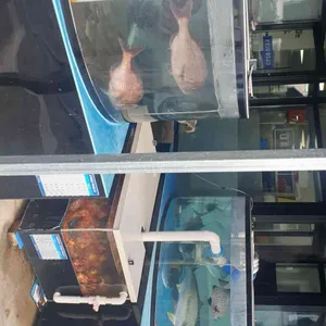 포항 바다원해 리뷰 사진