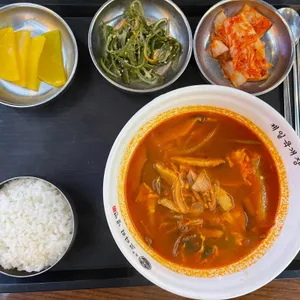속초코다리냉면 사진