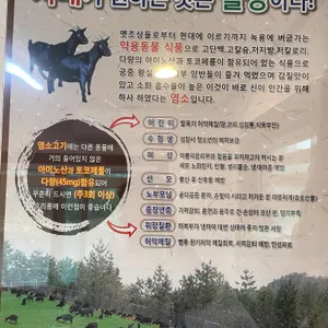 봉서골 리뷰 사진