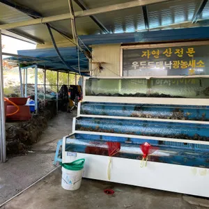 꽃동산횟집 리뷰 사진