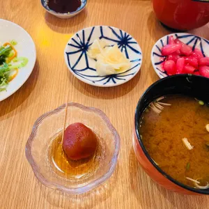 스시룡 사진