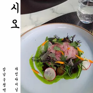 시오 사진