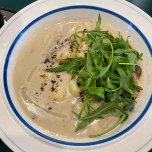 비푸스 사진