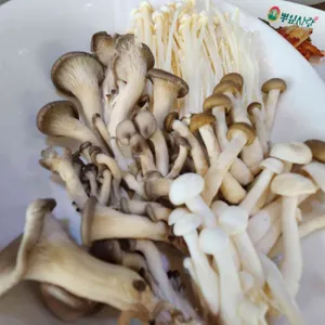뽕잎사랑 사진