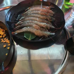 하와이조개 사진