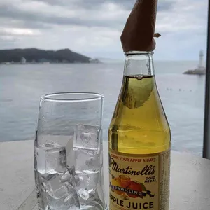 카페 숲 사진