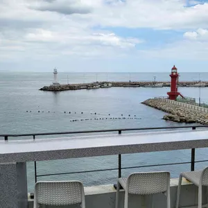 카페 숲 리뷰 사진