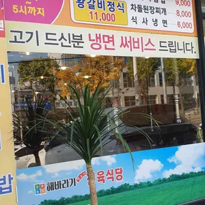 해바라기 리뷰 사진
