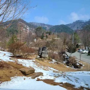 러스틱 라이프 리뷰 사진