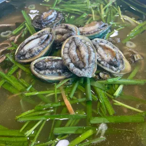 우도해광식당 리뷰 사진