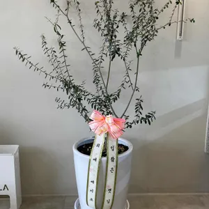 프루티에 리뷰 사진