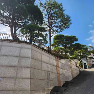 안다미로 리뷰 사진