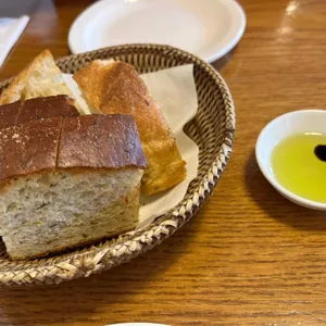 치보 사진