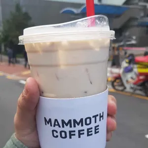 매머드익스프레스 사진