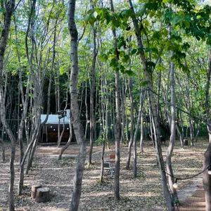 커피플라워 리뷰 사진