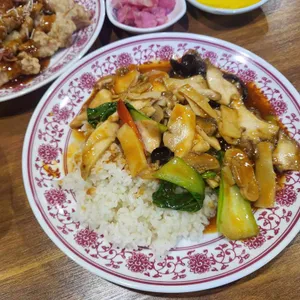 금조 사진