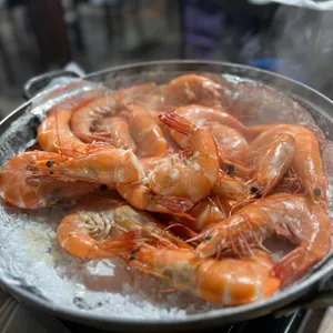 둘리왕새우 사진