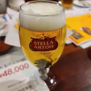 로이스타코 사진