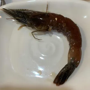 호조참치 리뷰 사진