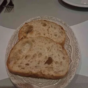페스티바 사진
