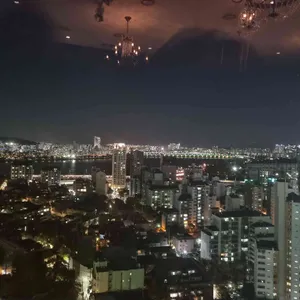 페스티바 리뷰 사진