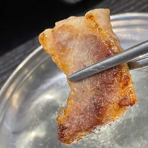 가야돼지 사진