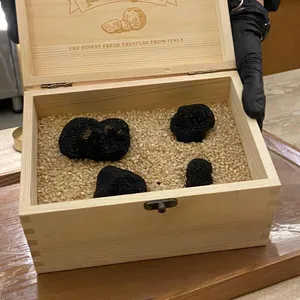 파인 리뷰 사진