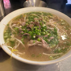 분포나인 사진
