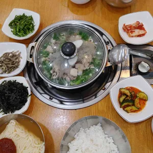 개미집 사진