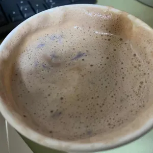 할리스 사진